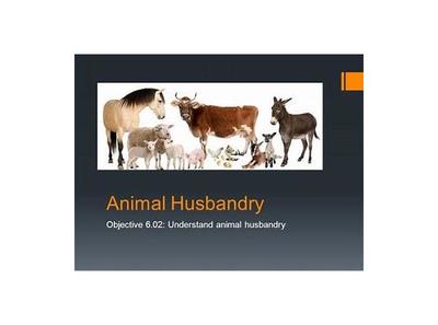Animal Husbandry and the Willie Lynch letter 01/23 by Yo-Gary | Goals