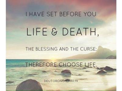 Life as a Blessing or Cursed Death