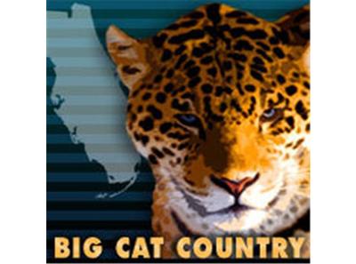 Big Cat Country, a Jacksonville Jaguars community